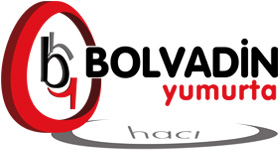 Bolvadin Yumurta